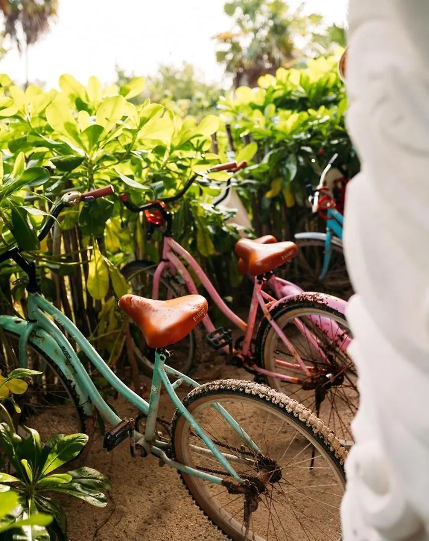 Casa Noma-Noma Holbox Acomodação com café da manhã