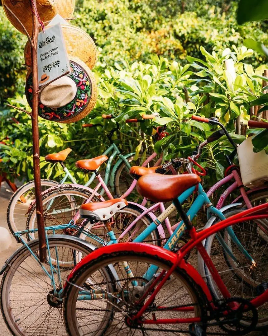 Casa Noma-Noma Holbox Acomodação com café da manhã Alojamento de Acomodação e Pequeno-almoço